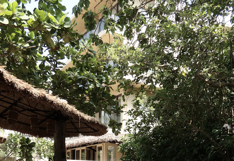 Shaded terrace dining beside the course