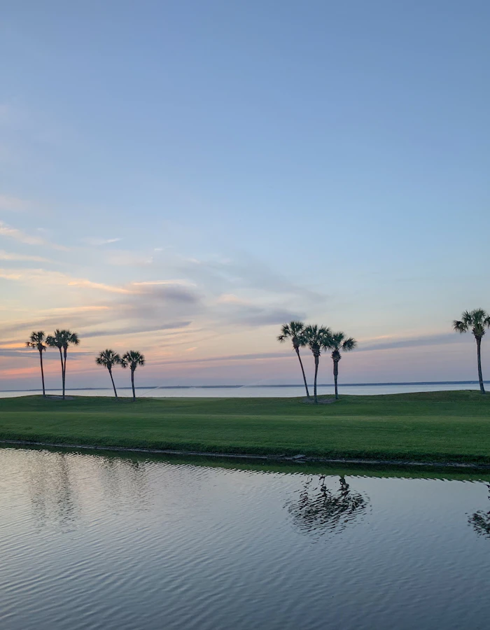 Palms silhouetted over water at dusk