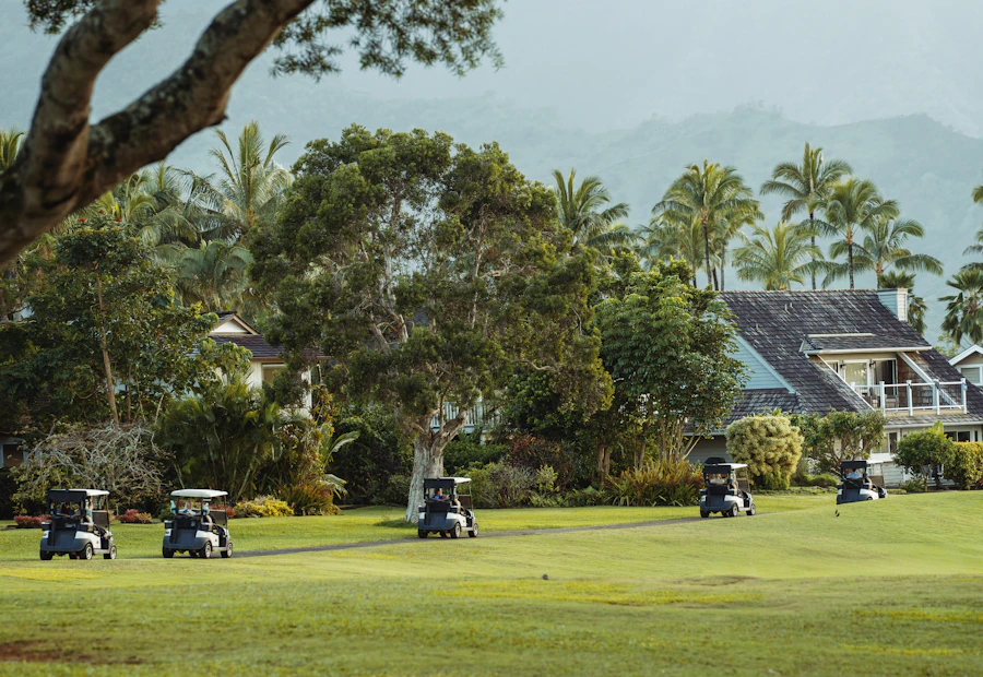 Buggies on a path between rainforest and the clubhouse